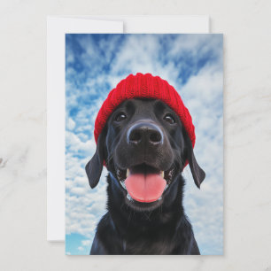 Invitation Joyeux Labrador dans une Beanie rouge sous un ciel