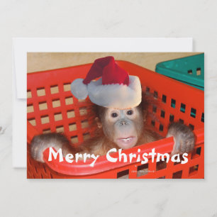 Invitation Joyeux Noël Créez votre propre message