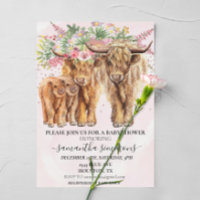 Jumeaux roses maman papa vache des Highlands veau 