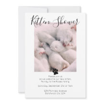 Kitten Douche Cute Personnalisée Adoption Chat