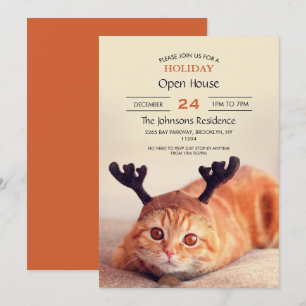Invitation kitten wearing a Christmas