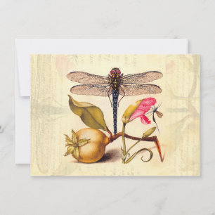 Invitation La faune de la libellule
