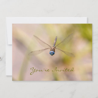 Invitation La libellule en vol