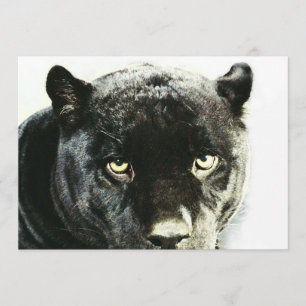 Invitation La panthère noire de Jaguar observe l'invitation