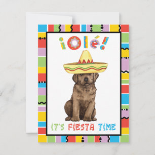 Invitation Laboratoire de chocolat Fiesta
