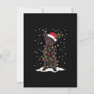 Invitation Laboratoire de chocolat Labrador Arbre de Noël Pyj