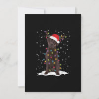 Laboratoire de chocolat Labrador Arbre de Noël Pyj