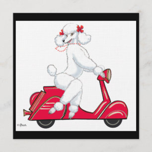 Invitation Le caniche blanc sur scooter