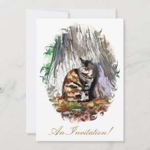 INVITATION LE CHAT