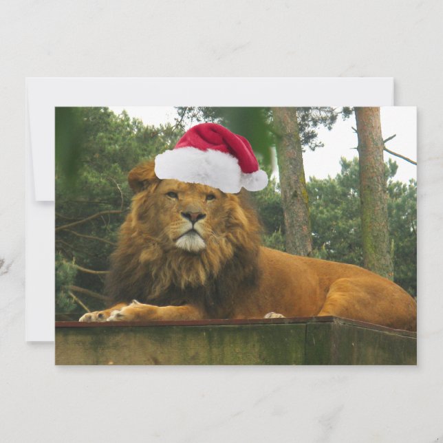 Invitation Le Lion de Noël porte le chapeau du Père Noël (Devant)