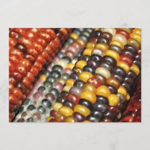 Invitation Le maïs indien à l'invitation de Cob Variety