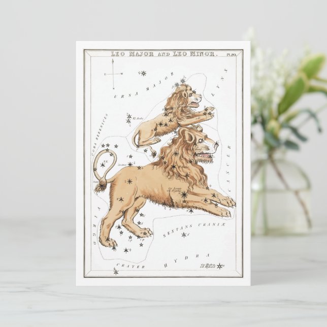 Invitation Leo - Constellation - Horoscope - Zodiaque - Etoil (Debout devant)