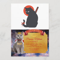 Les chats en guerrier Samurai - Choisir la couleur