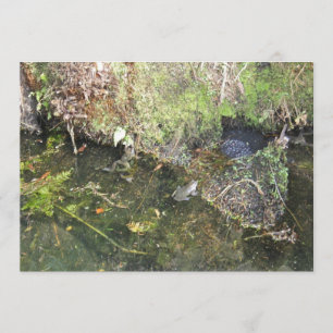 Invitation Les grenouilles et les grenouilles frayent dans un