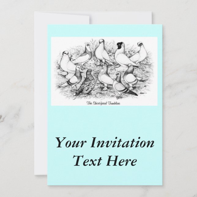 Invitation Les Pigeons Tumbler à courte vue (Devant)