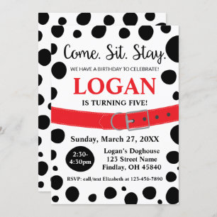 Invitation Les Spots Dalmatiens Venir S'Asseoir Rester Chien 