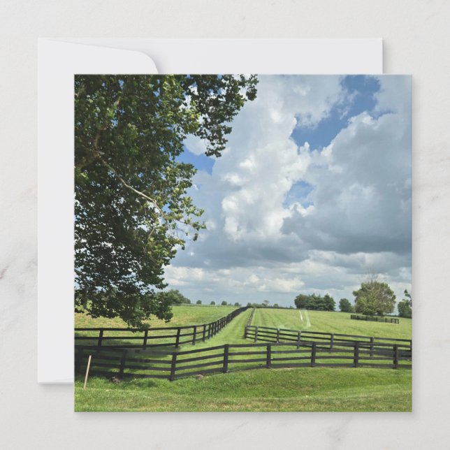 Invitation Lexington, Kentucky (Devant)
