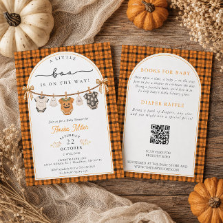 Invitation Little Boo en route Bébé Linge à Linge Baby Shower
