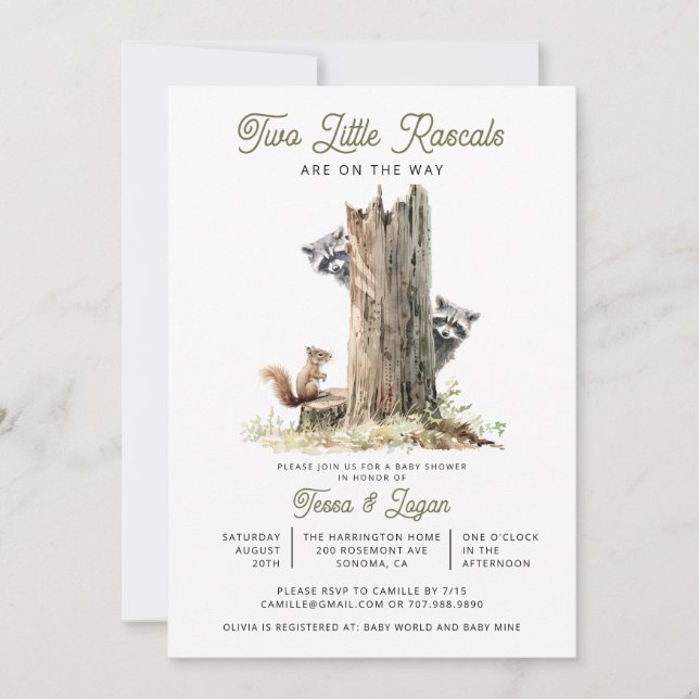 Invitation Little Rascals Raccoons Twins Baby shower (Devant)