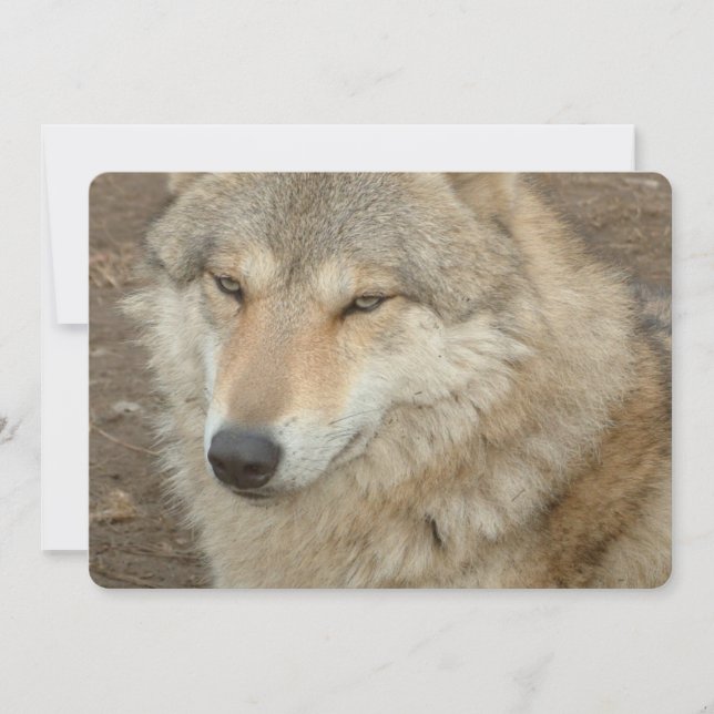Invitation Loup (Devant)