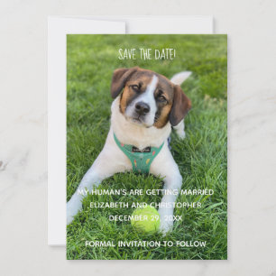 Invitation Ma Photo de Mariage de Mes Humains Enregistrer la 