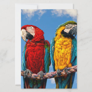 Invitation Macaw bleu et jaune et macaw Scarlet