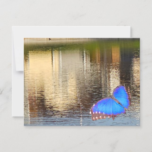 Invitation Magnétique Blue Wing Reflection (Recto)