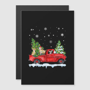 Invitation Magnétique Chihuahua Drôle Avec Camion Rouge Noël Vacances