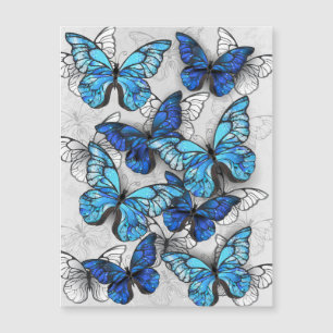 Invitation Magnétique Composition des White and Blue Butterflies