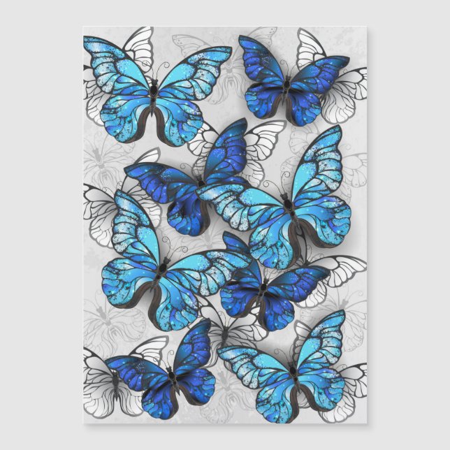 Invitation Magnétique Composition des White and Blue Butterflies (Devant)