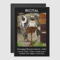 Considérant Faire-part, pingouins, cordes, piano