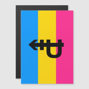 Invitation Magnétique Drapeau de la fierté Pansexual