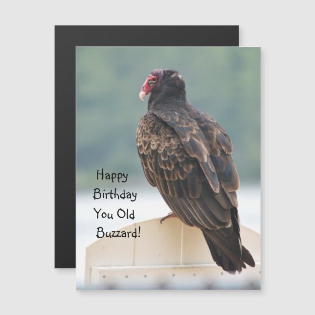 Invitation Magnétique Joyeux Anniversaire Vous Vieux Buzzard (Devant / Derrière)