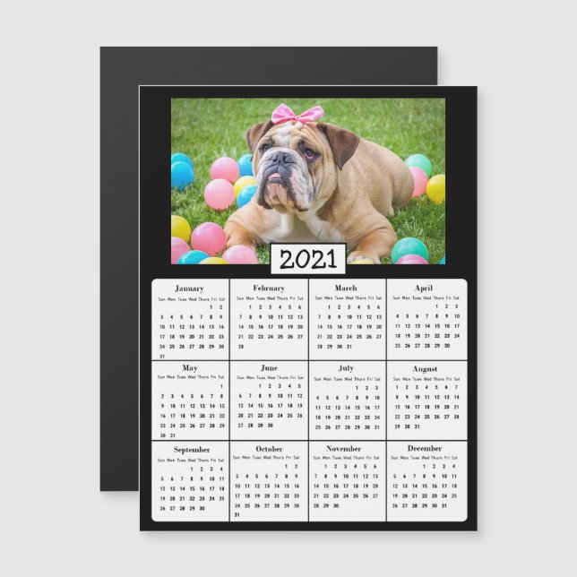 Invitation Magnétique Mini calendrier photo pour animaux de compagnie 20 (Devant / Derrière)