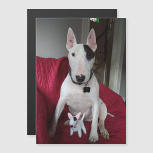 Invitation Magnétique Rex The TV Terrier et Ditto aimant