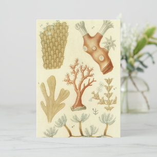 Invitation Manuel de sciences Biologie, Animaux de corail vin