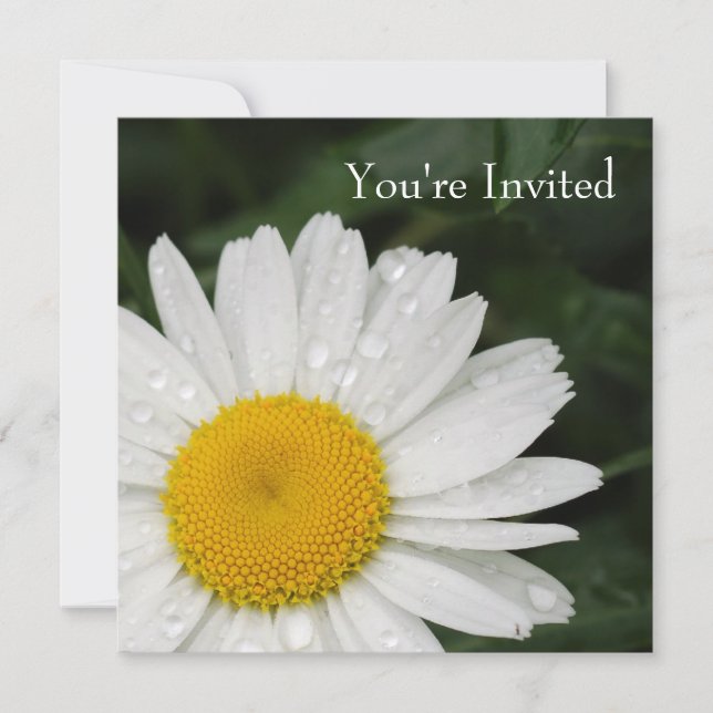 Invitation Marguerite toute l'invitation d'événement (Devant)