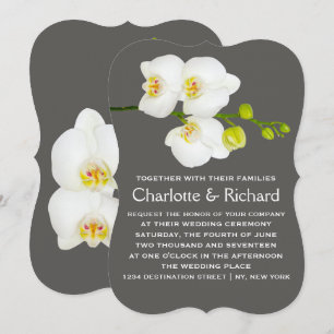 Invitation Mariage floral moderne   Fleurs d'orchidées blanch