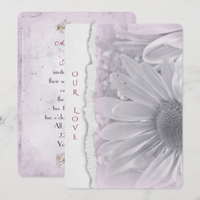 Invitation mariage marguerite en rose pâle avec bord en papie (Devant / Derrière)
