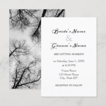 Mariage monochrome des cimes des arbres