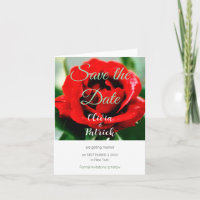 Mariage Rose Rouge Enregistrer la Date 