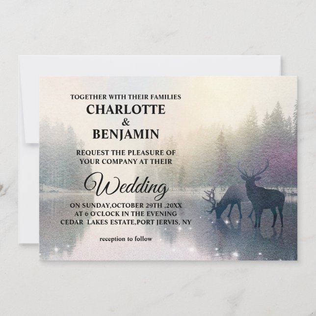 Invitation Mariage unique de conte de fées dans une forêt enc (Devant)