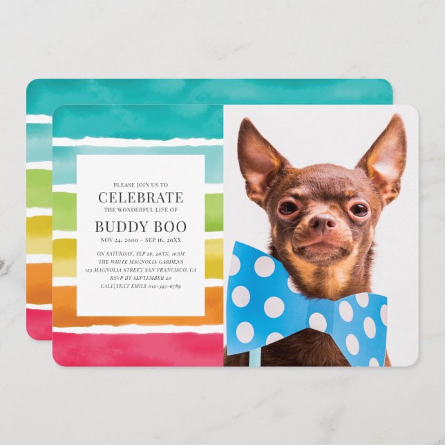 Invitation Mémorial des animaux de compagnie de Rainbow Strip (Devant / Derrière)