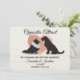 Invitation Mes Humains Se Marient - Des Chiens Différents