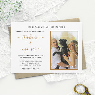 Invitation Mes humains se marient Photo de mariage d'animaux