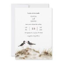 Minimal Beach Sand Dunes Oystercatchers Mariage