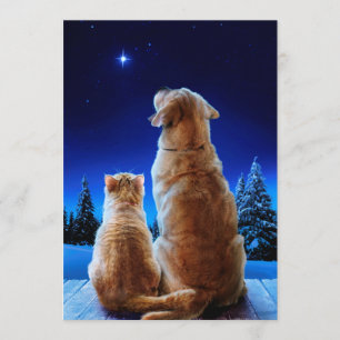 Invitation Miracle de Noël pour chat et chien