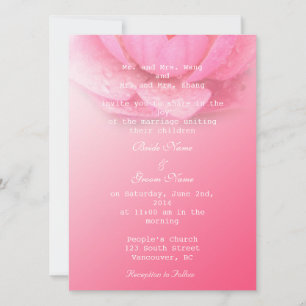 Invitation nénuphar rose en arrière - plan rose. 粉 红 色 睡 莲 。