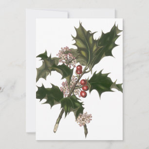 Invitation Noël vintage, plante de houx vert avec des baies