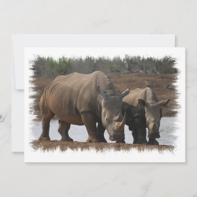 Invitation noire de rhinocéros (Devant)